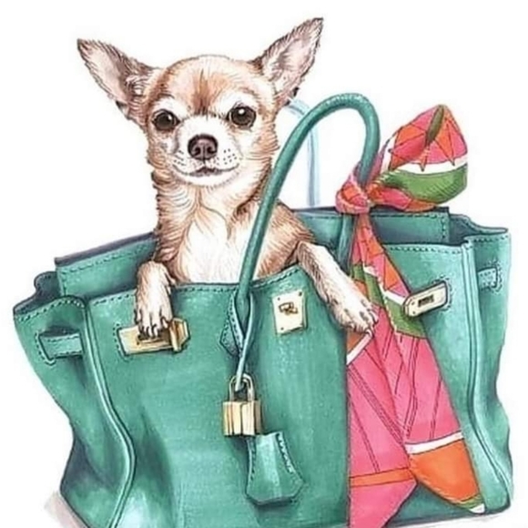 Meet your Posher, Ksenia - Picture 1 of 1